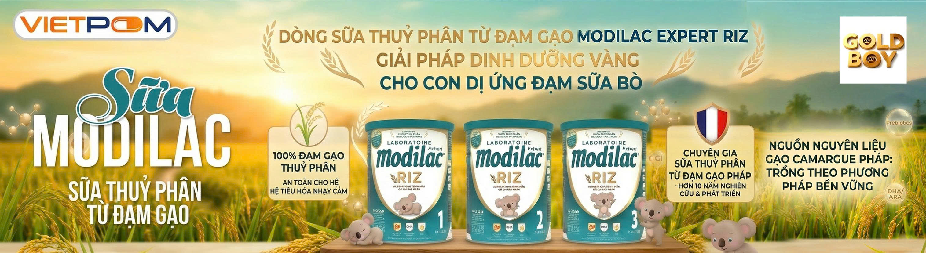 Truyền Thông Nhãn Hàng Sữa Modilac - NCC Gold Boy